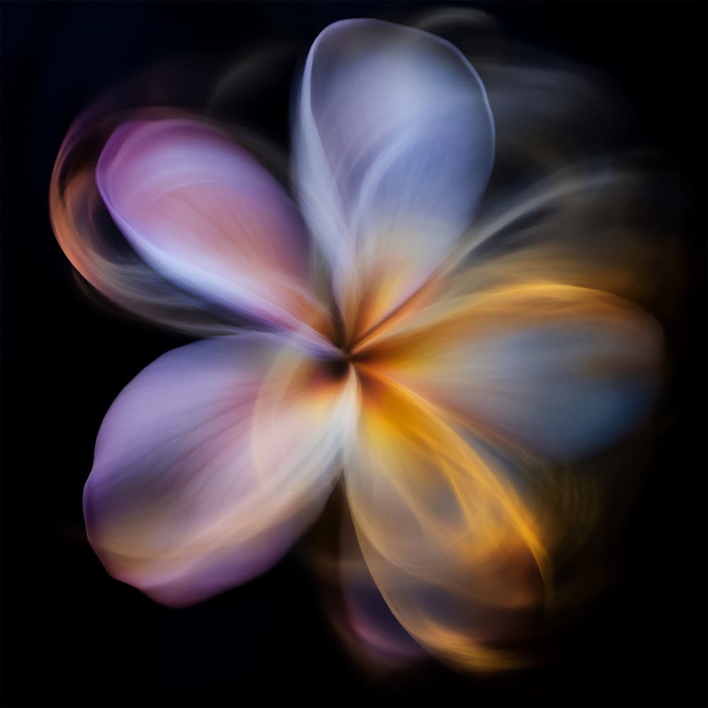 Ethereal Bloom by Bilge Paksoylu — canvas wall art