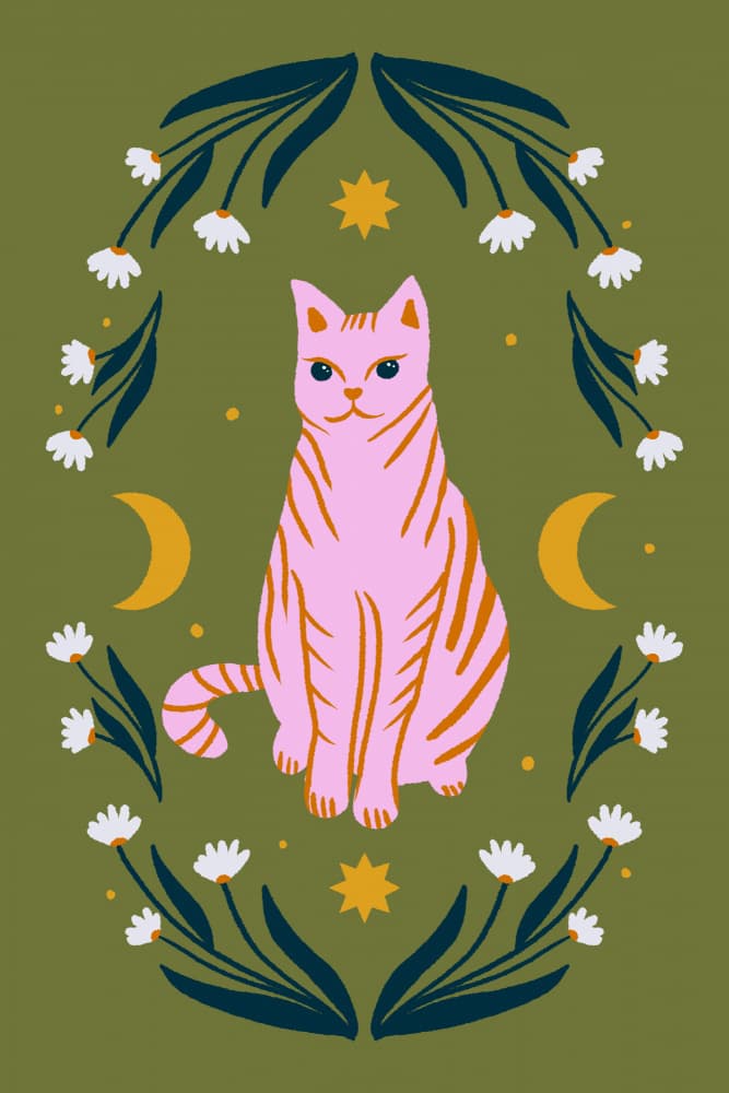 Mystic Pink Cat by Angela Minca — canvas wall art