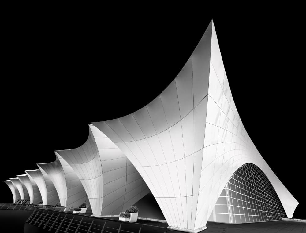 Graceful Modern Curves by jordiegeatorrent — canvas wall art