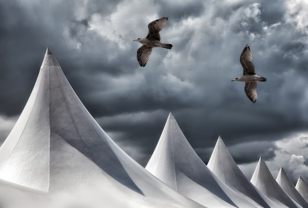 Seagulls And Dark Sky by Yvette Depaepe — canvas wall art