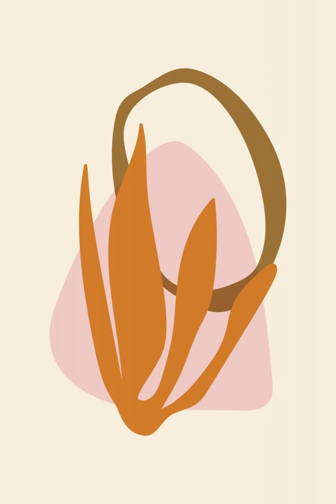 Organic Abstract Shapes by Dina Dankers — canvas wall art