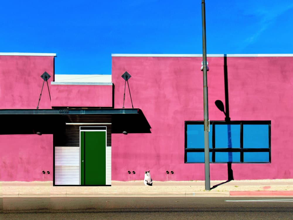 Pink Building and Cat by Arnon Orbach — canvas wall art