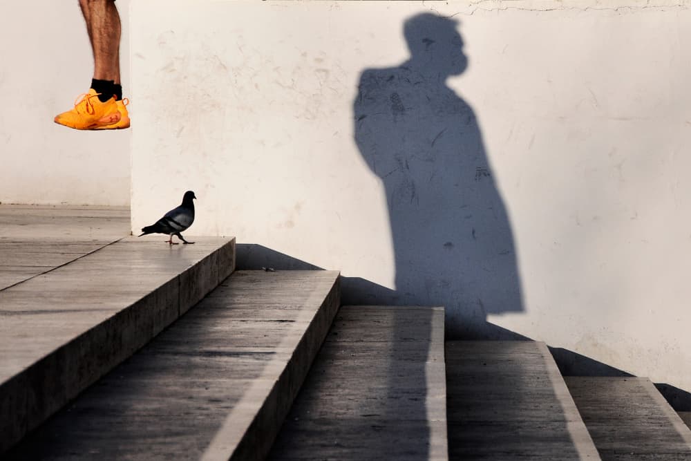 Pigeon Steps Long Shadow by Antonio Grambone — canvas wall art