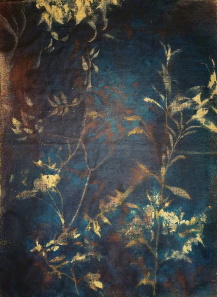 Deep Blue Botanicals by Stefano Mazzolini — canvas wall art