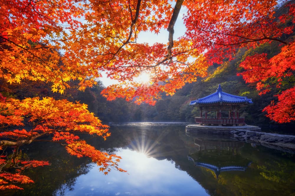 Autumn Lake Gazebo by Tiger Seo — canvas wall art