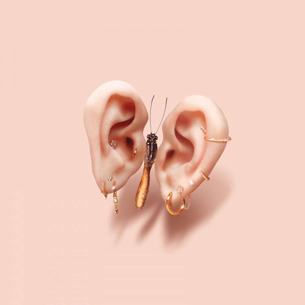 Golden Pierced Butterfly Ears by Artem Pozdniakov — canvas wall art