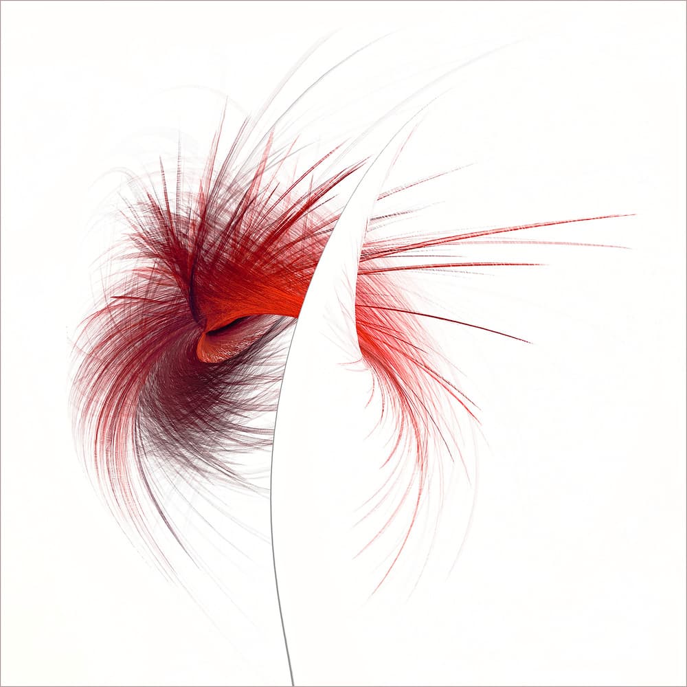 Flowing Brown Feather by Gilbert Claes — canvas wall art