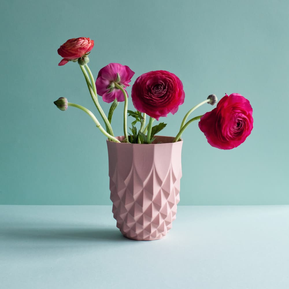 Vibrant Pink Ranunculus by Masha Bakker Matijevic — canvas wall art