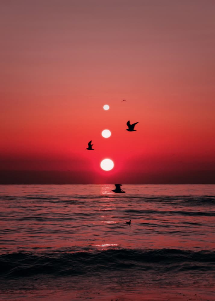 Three Suns Ocean Flight by Ariz Rab — canvas wall art