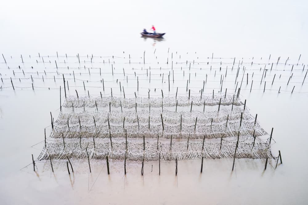 Misty Water Fishing Farm by Songlin Xu — canvas wall art