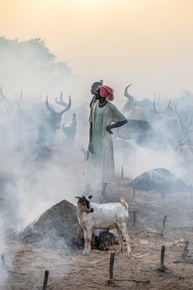 Smoky Cattle Herder by Trevor Cole — canvas wall art