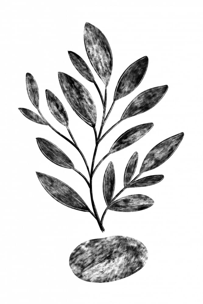 Minimalist Botanical Leaves by Martina — canvas wall art
