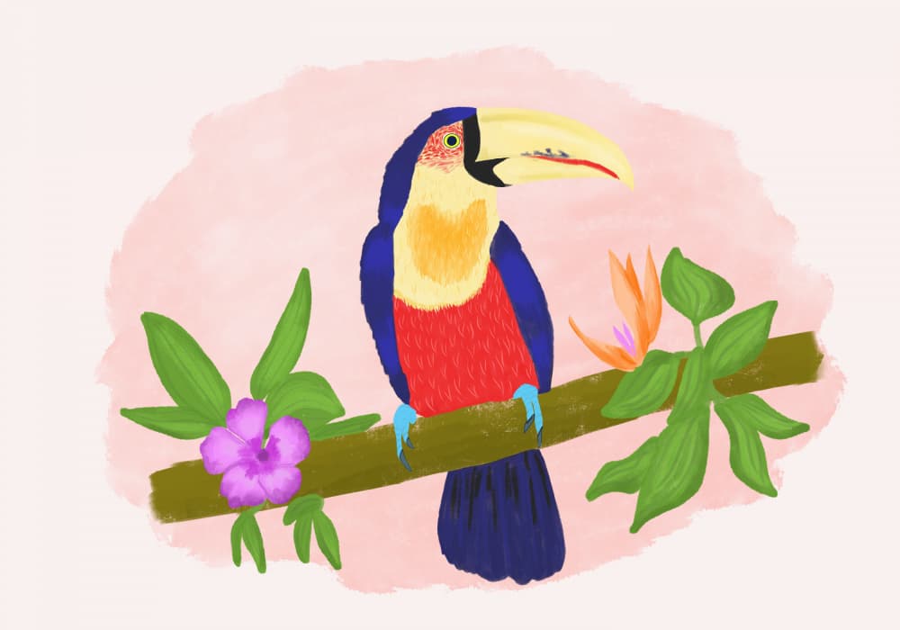 Vibrant Jungle Toucan by Aliya Putrus — canvas wall art
