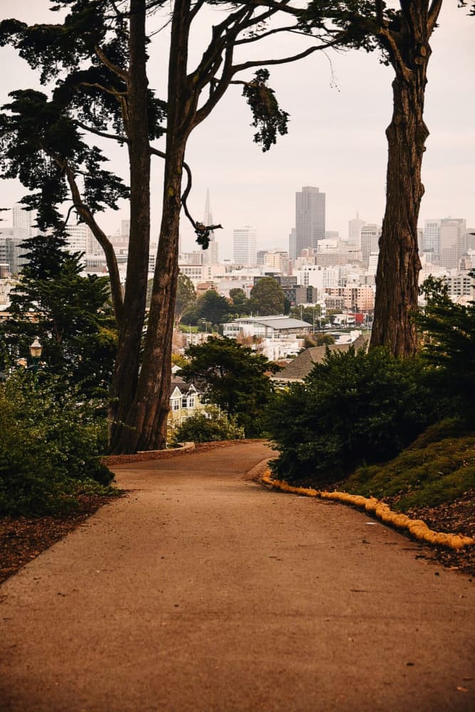 Winding Path City View by Del Mundo Imagery — canvas wall art