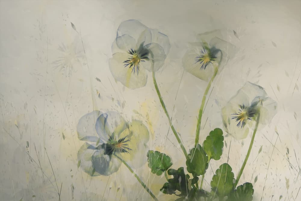 Small violets by Nel Talen — canvas wall art