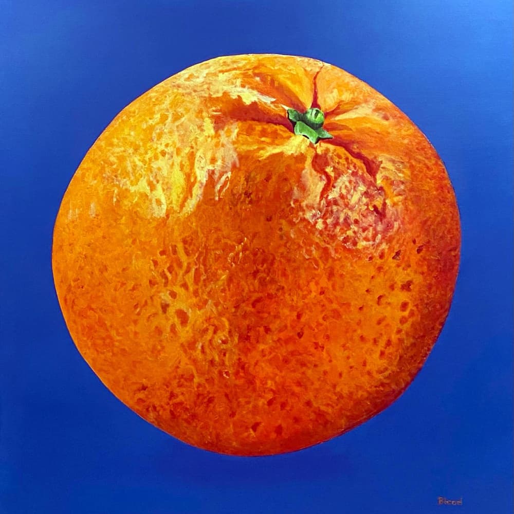 Vibrant Orange Still Life by Tom Blood — canvas wall art