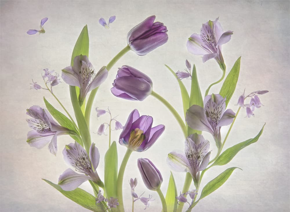 Soft Purple Flowers by Catherine Wang — canvas wall art