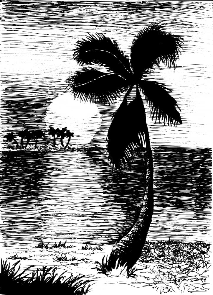 Moonlit Tropical Palm Silhouette by Marika Barsrsind β canvas wall art