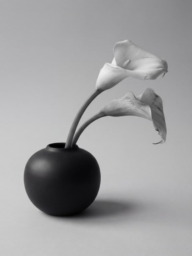 Elegant Calla Lilies by Andreas Magnusson — canvas wall art