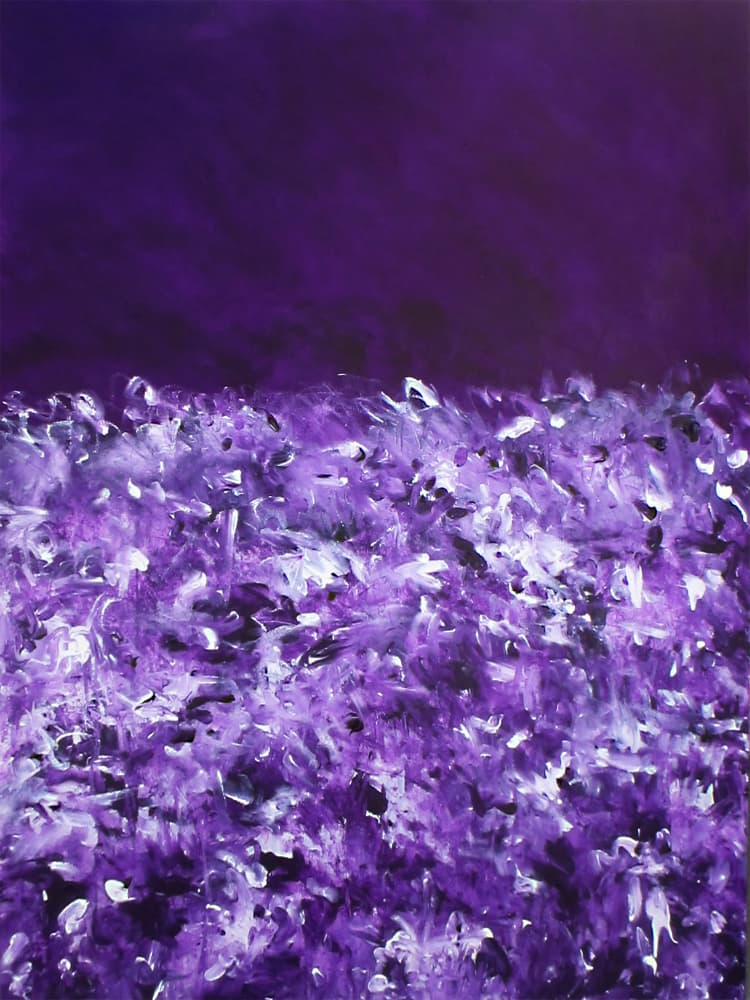 Vibrant Purple Fields by Ron Halfant — canvas wall art