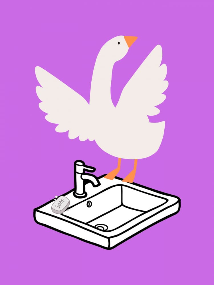 Funny Washing Goose by Jolly and Dash — canvas wall art