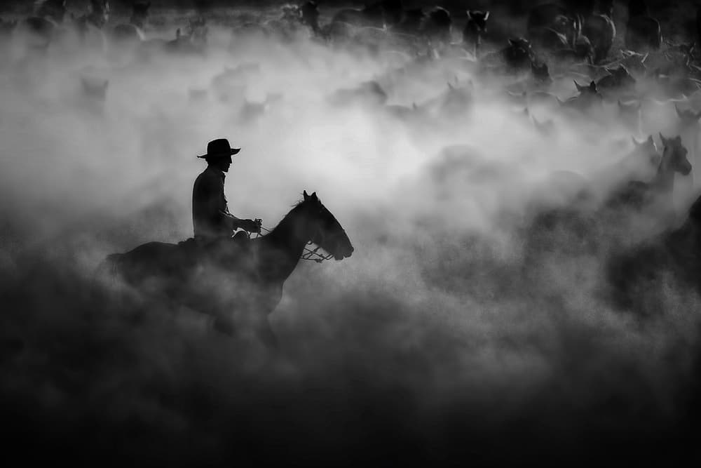 Western Dust Rider by durmusceylan — canvas wall art