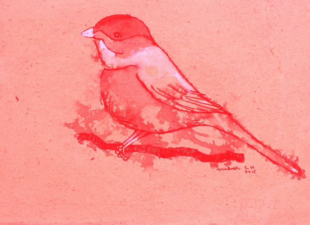 Red Bird on Branch by Santhosh ch — canvas wall art
