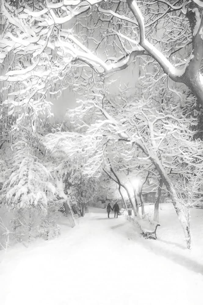 Romantic Snowy Path by Cristian Andreescu — canvas wall art