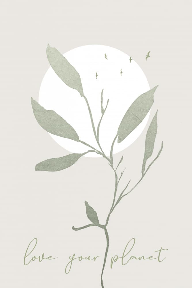 Love Your Planet Botanical by Melanie Viola — canvas wall art