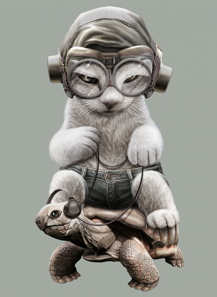 Cool Cat Pilot Tortoise by Adam Lawless — canvas wall art