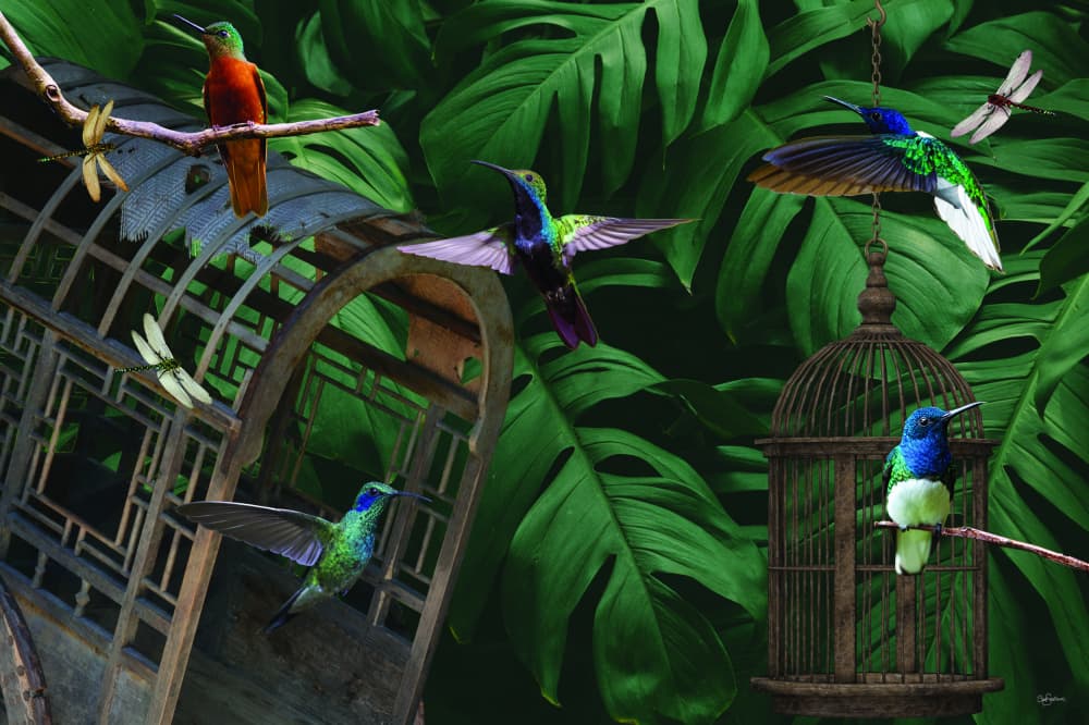 Hummingbirds Jungle Escape by Sue Skellern — canvas wall art