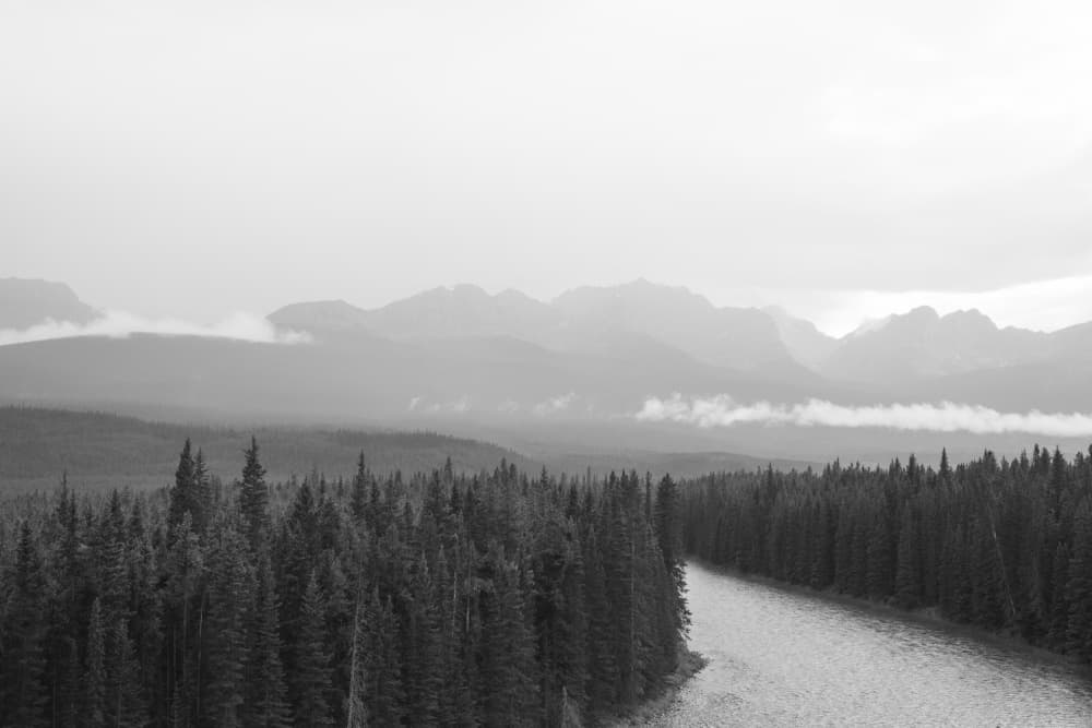 Misty Mountain River by Lynann Colligan — canvas wall art