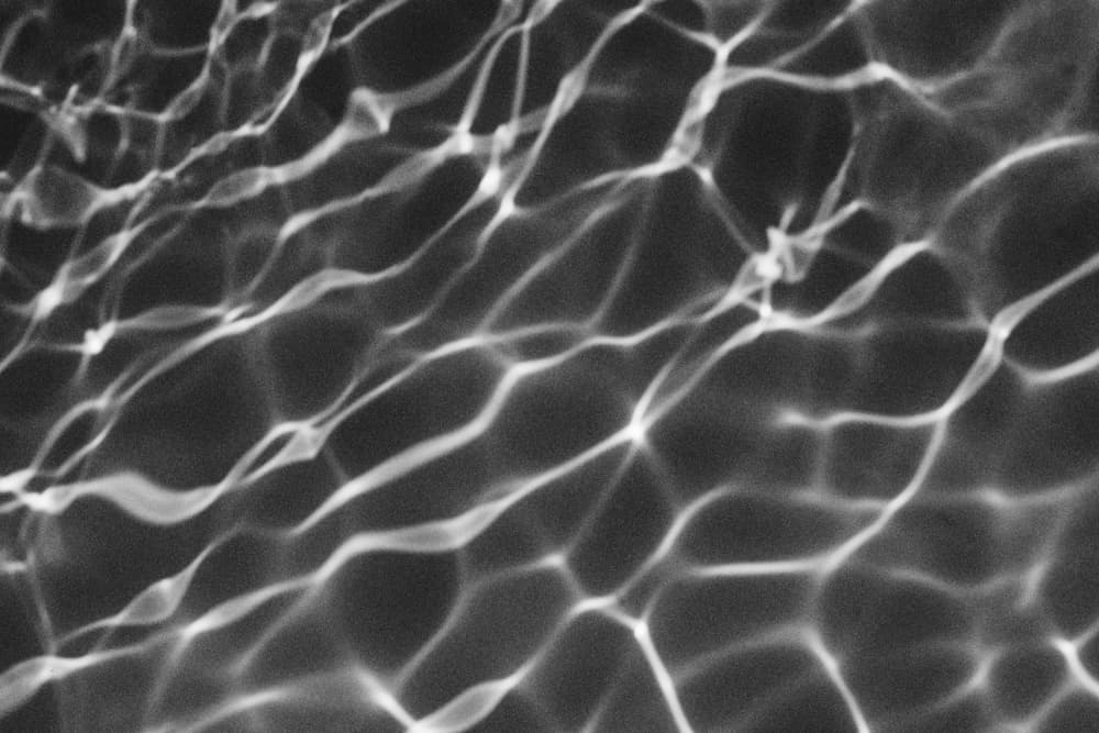 Shimmering Water Reflections by Lynann Colligan — canvas wall art