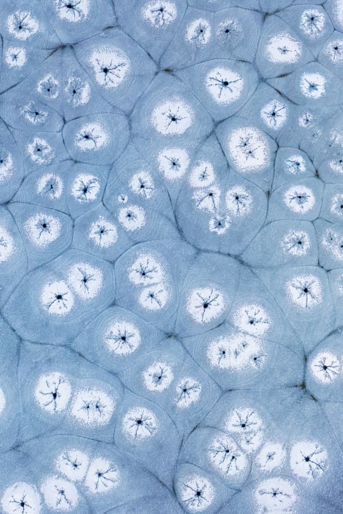Frozen Ice Patterns by Mei Xu — canvas wall art