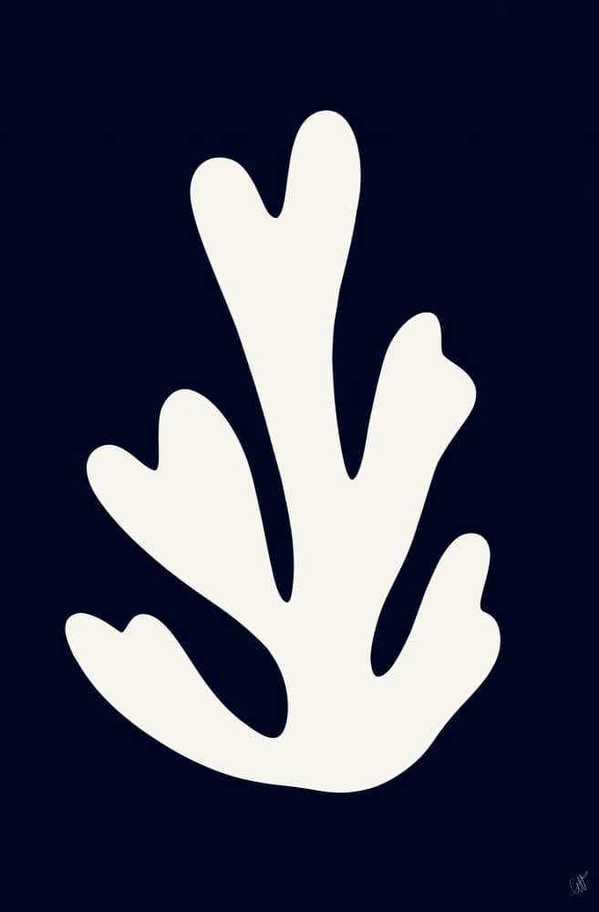 Navy White Botanical Cutout by Anne-Marie Volfova — canvas wall art