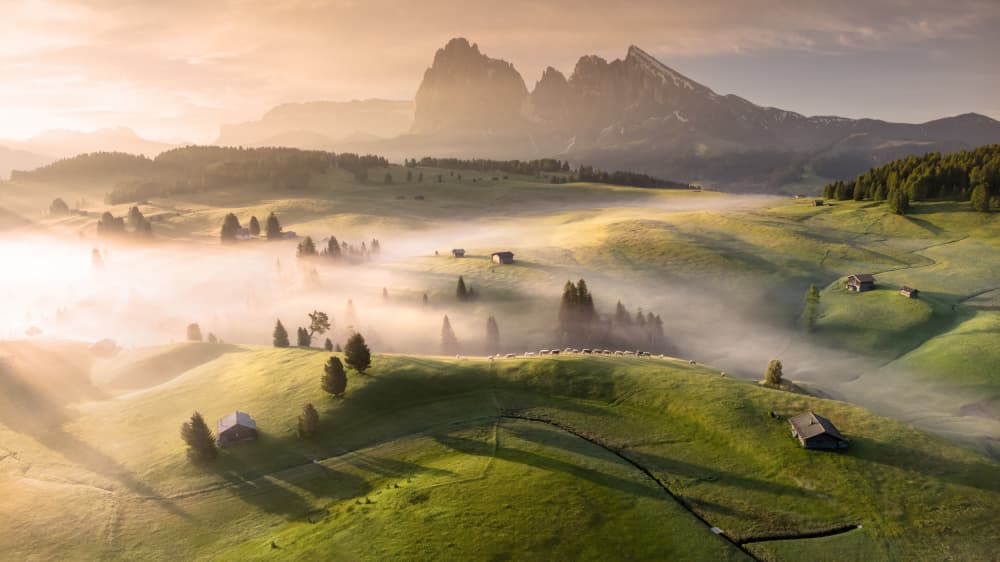 Misty Alpine Morning by tianhuayu — canvas wall art