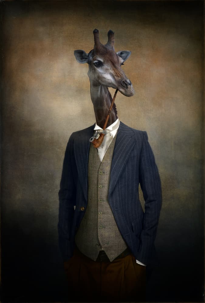 Dapper Giraffe Gentleman by Svetlana Melik-Nubarova — canvas wall art