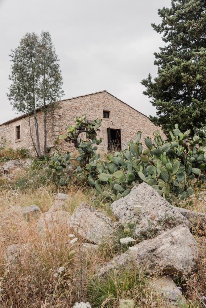 Rustic Stone House Cacti by Photolovers — canvas wall art