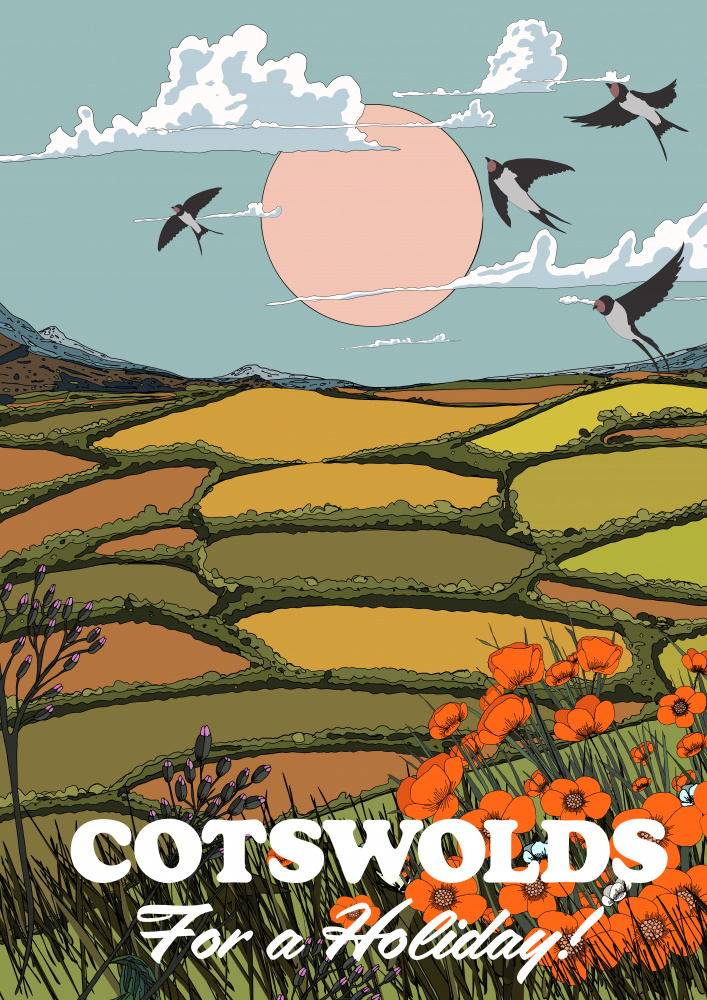 Cotswolds Flying Swallows by Nicholas — canvas wall art