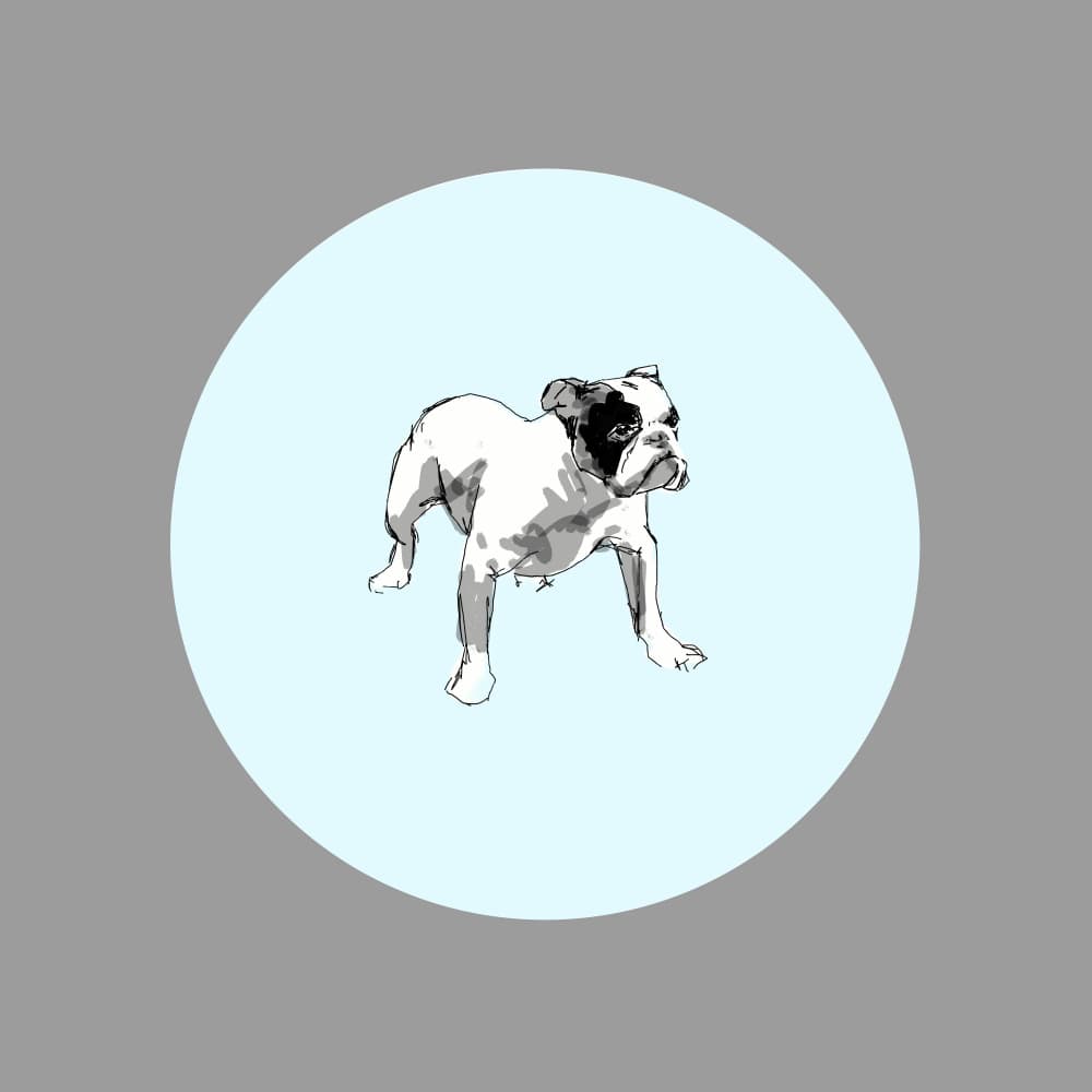 Playful Bulldog Sketch by casa cartissi — canvas wall art