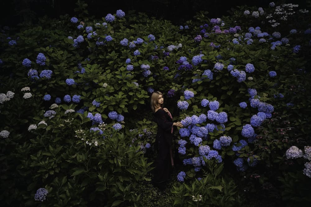 Woman in Blue Hydrangeas by KOIKI — canvas wall art
