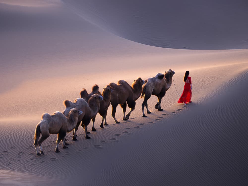 Red Dress Desert Journey by Cai ning — canvas wall art