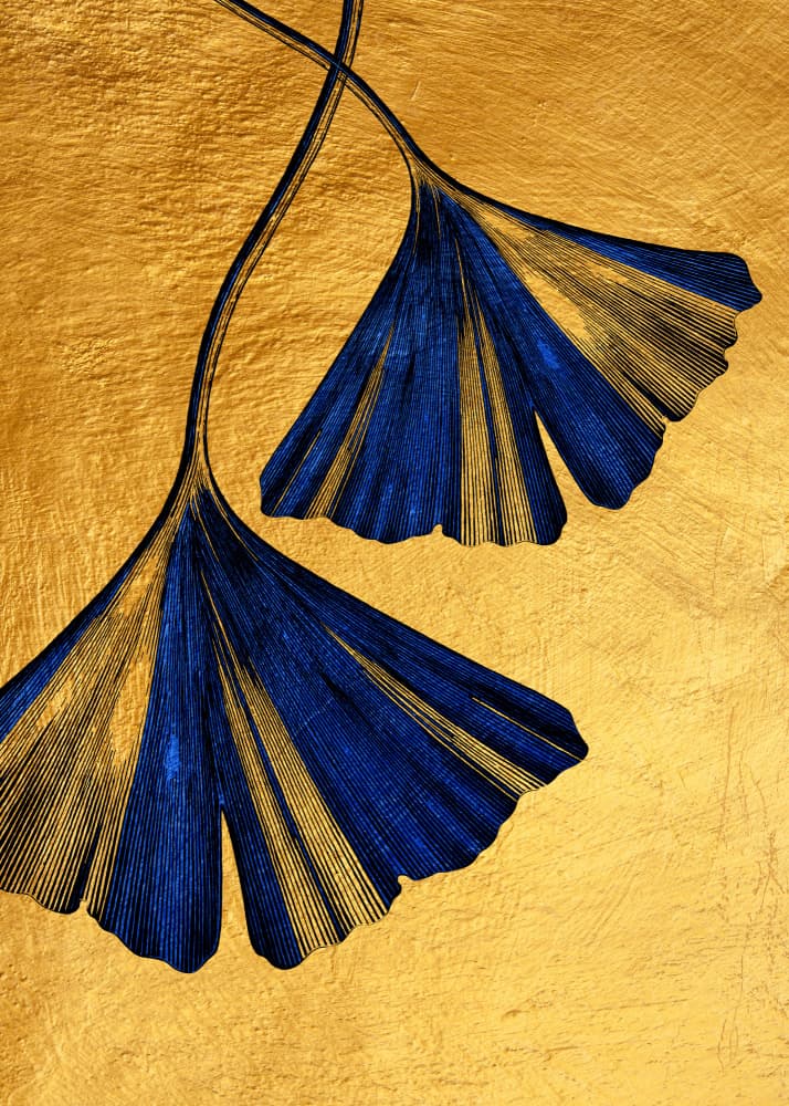Golden Blue Ginkgo Leaves by Justyna Jaszke — canvas wall art