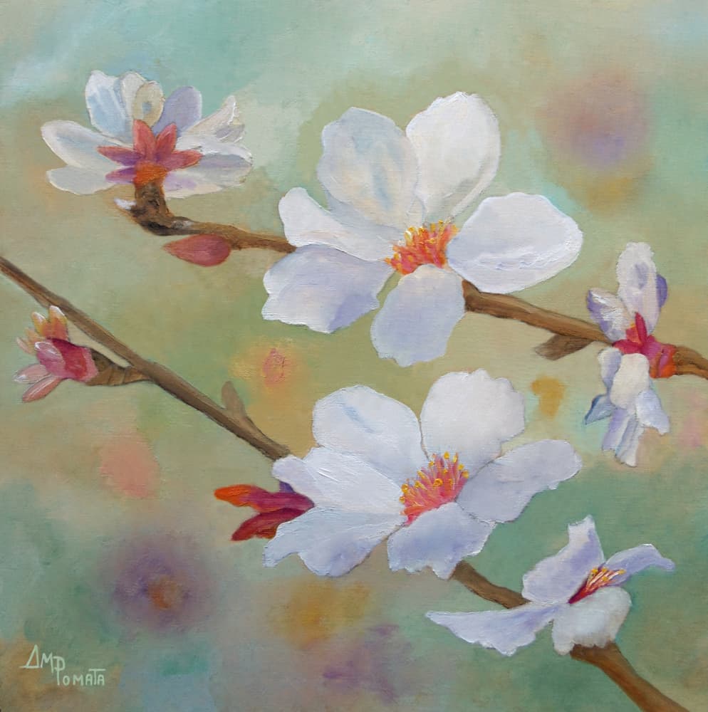 White Almond Blossoms by Angeles M. Pomata — canvas wall art