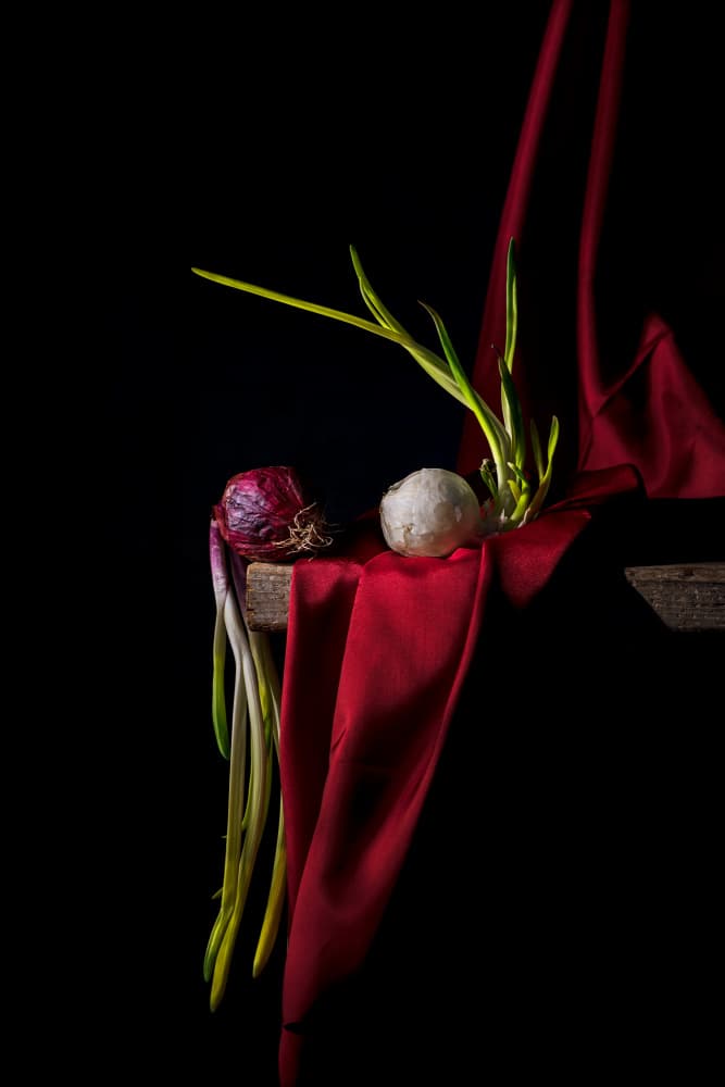 Moody Sprouting Onions by Felice Angelino — canvas wall art