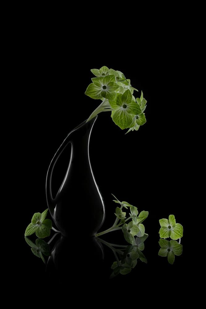 Green Blooms Reflection by Lydia Jacobs — canvas wall art