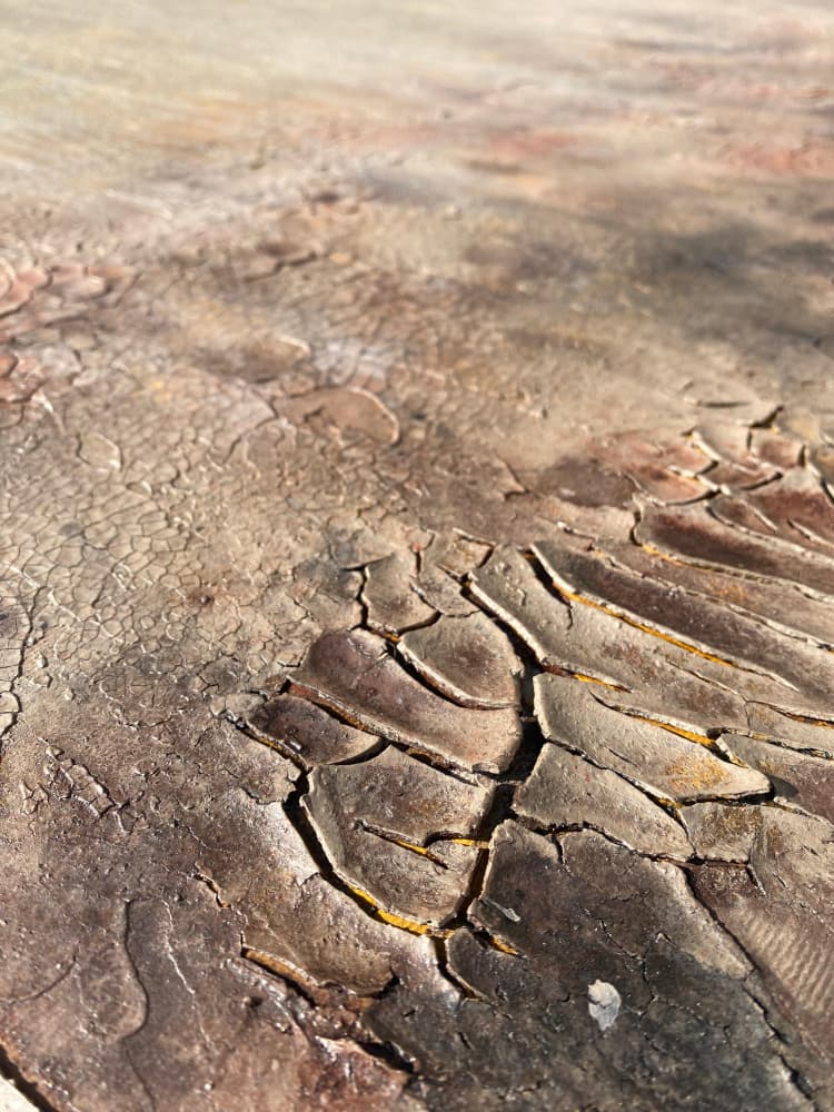 Cracked Earth Texture by Gabriela Aleksandra Szuba — canvas wall art