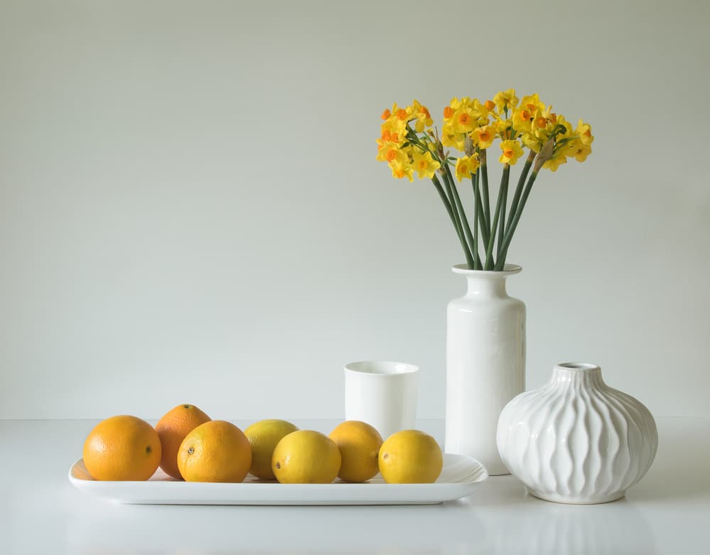Fresh Flowers And Fruit by Jacqueline Hammer — canvas wall art