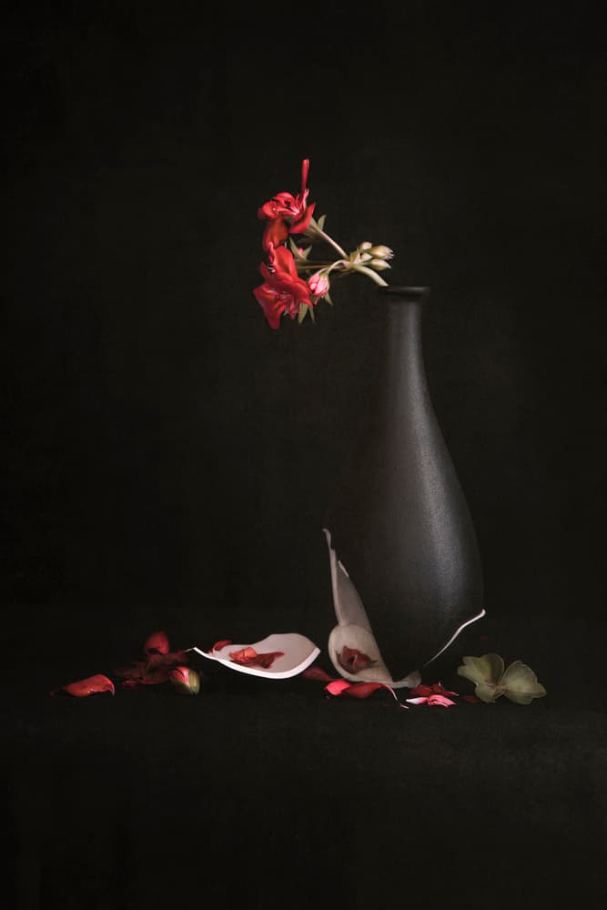 Broken Vase Red Flowers by Martine Benezech — canvas wall art