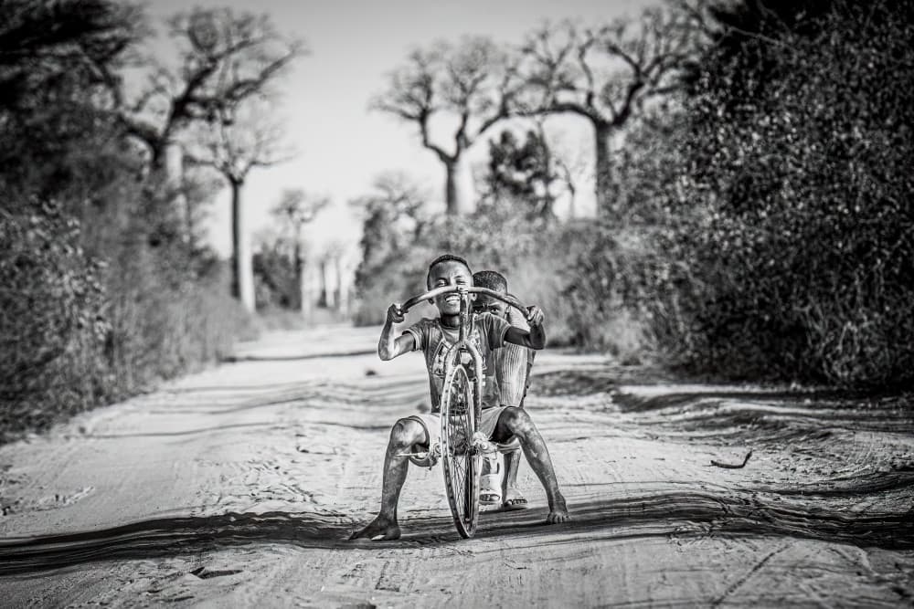 Childhood Joy Baobab Road by Marco Tagliarino — canvas wall art